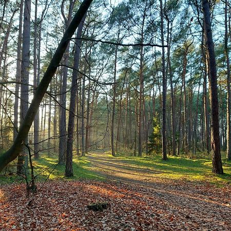 Apartamenty Sonata Międzywodzie Dış mekan fotoğraf